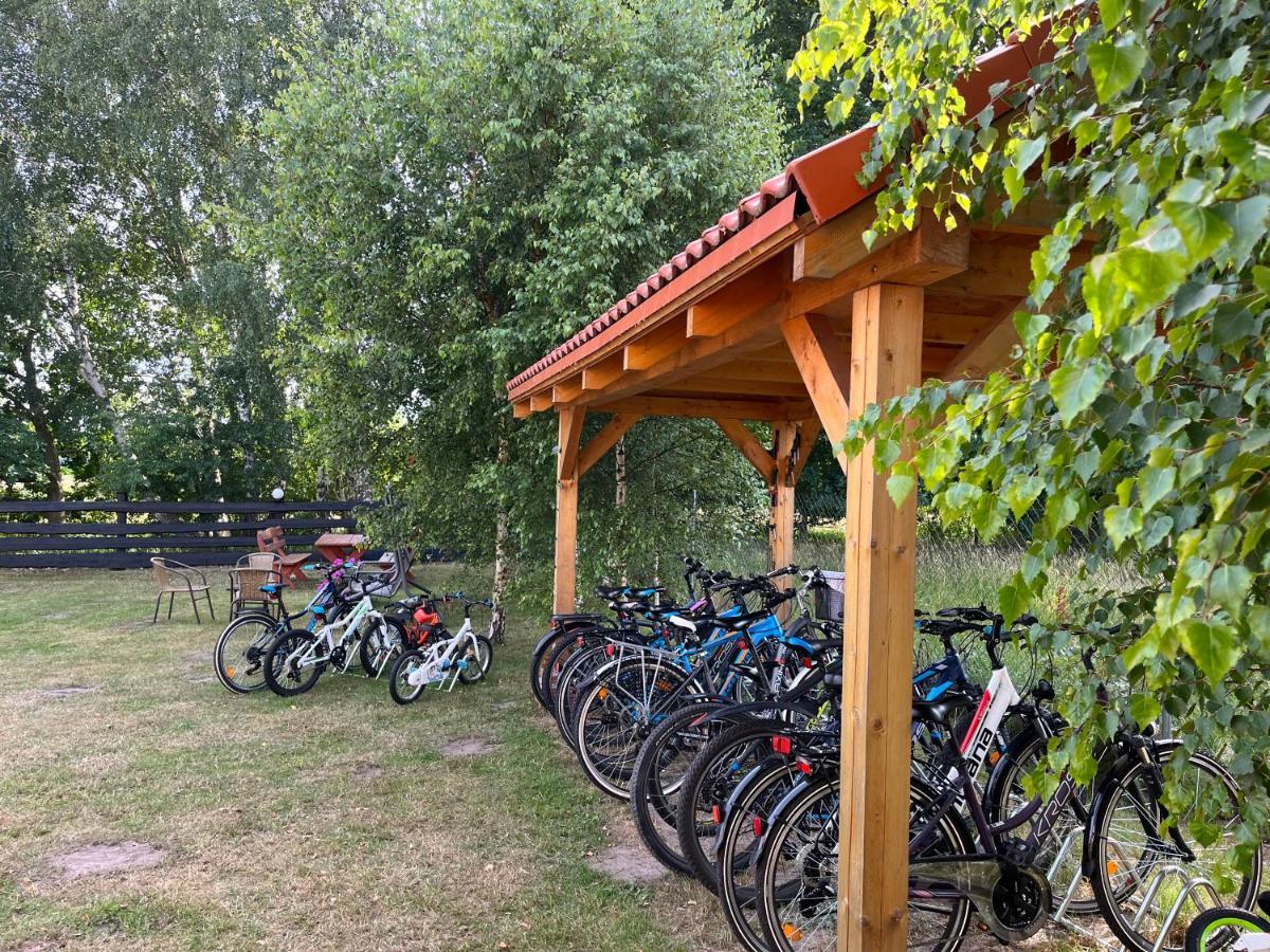 Apartament Słoneczne Dęby Debina  Zewnętrze zdjęcie